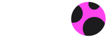 n11 logo